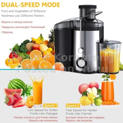 Fruit Juicer
