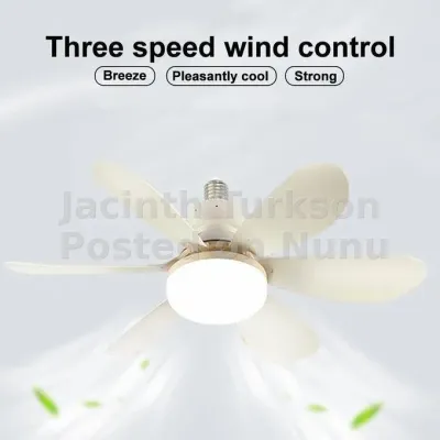 WakeView E27 Smart Ceiling Fan Light