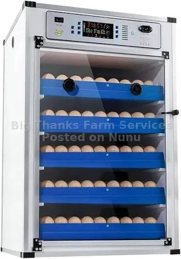 500eggs Incubator, Automatic