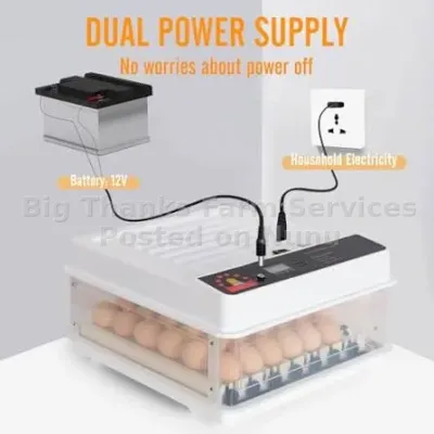 70 eggs automatic Incubators