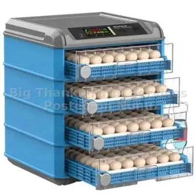 500eggs Incubator, Automatic