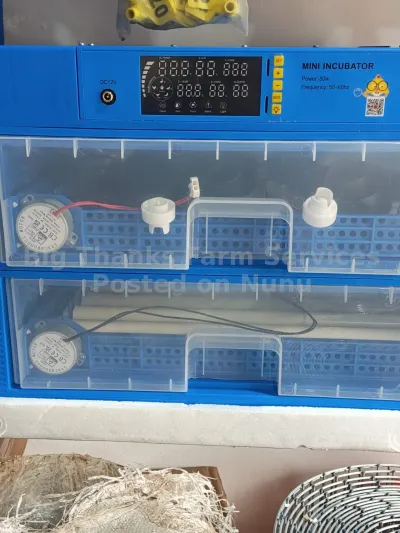 128 eggs incubator, automatic