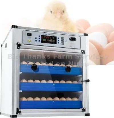 340eggs Incubator , Automatic