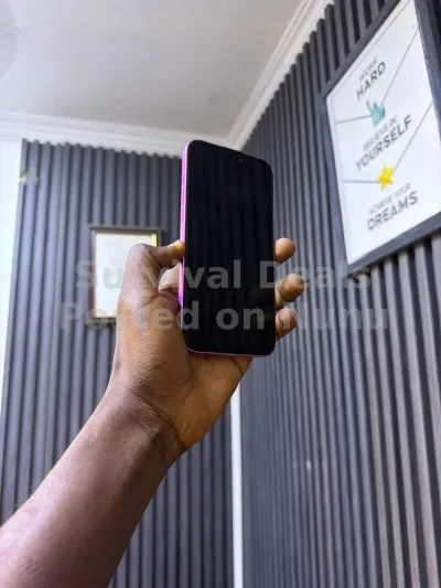 iPhone 16 plus 256gig
