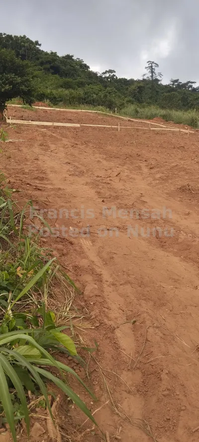 farm land. available for sale price  gh 22,000.   location Agona Swedu