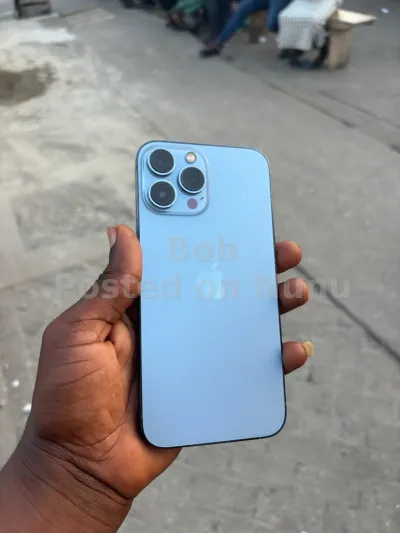 iPhone 13 Pro Max