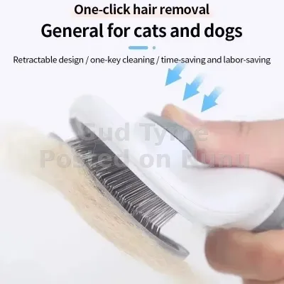 Do and Cat Brush