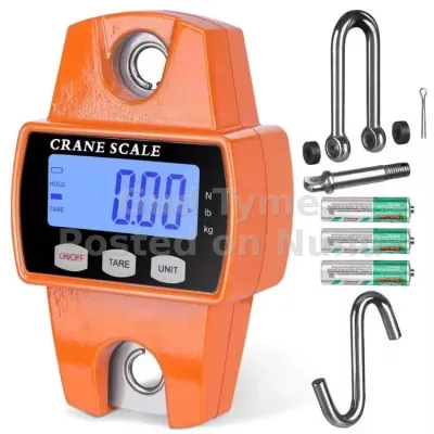 Veidt Ocs-l Portable Crane Scale 300kg