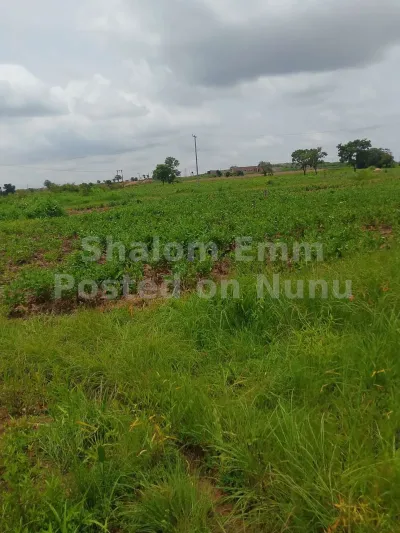 Some plots of land at Jantong/ Jangyili for sale