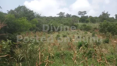 LAND FOR SALE
