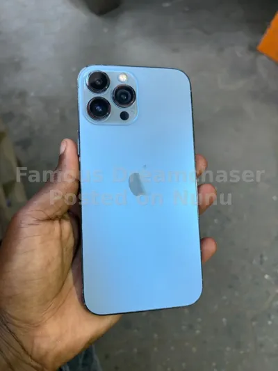 iPhone 13 Pro Max 256gb
