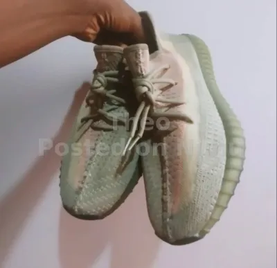 Adidas yeezy boost 350