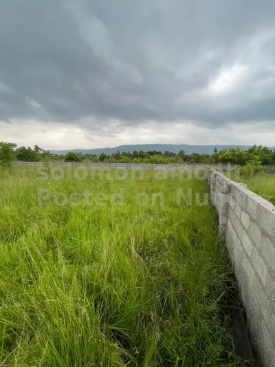 1 plot of land