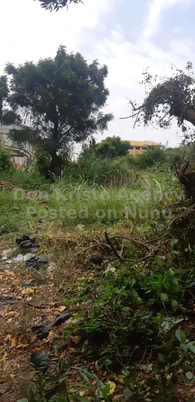 1/4 plot for sale @ nsawam