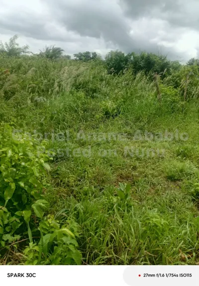 30000acres of land for mango cashew rice and rubber etc. plantation