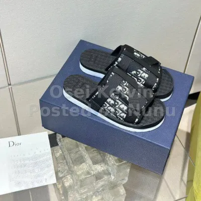 DIOR ALPHA SLIDES