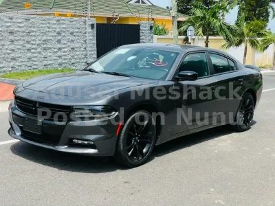 2017 Dogd charger