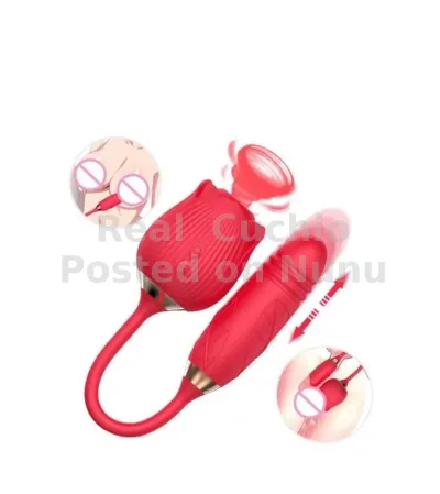 2 in 1 Automatic Telescopic Rose Vibrator