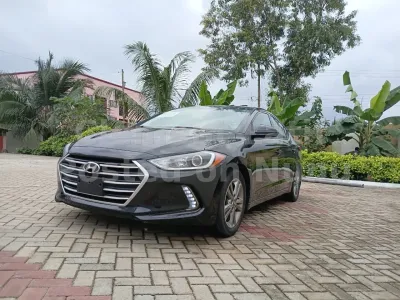 Hyundai Elantra sports 2018